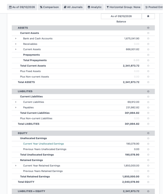 ERPixel Odoo demo Balance Sheet with assets of 2,341,973.72, liabilities of 301,894.82, and equity of 2,040,078.90