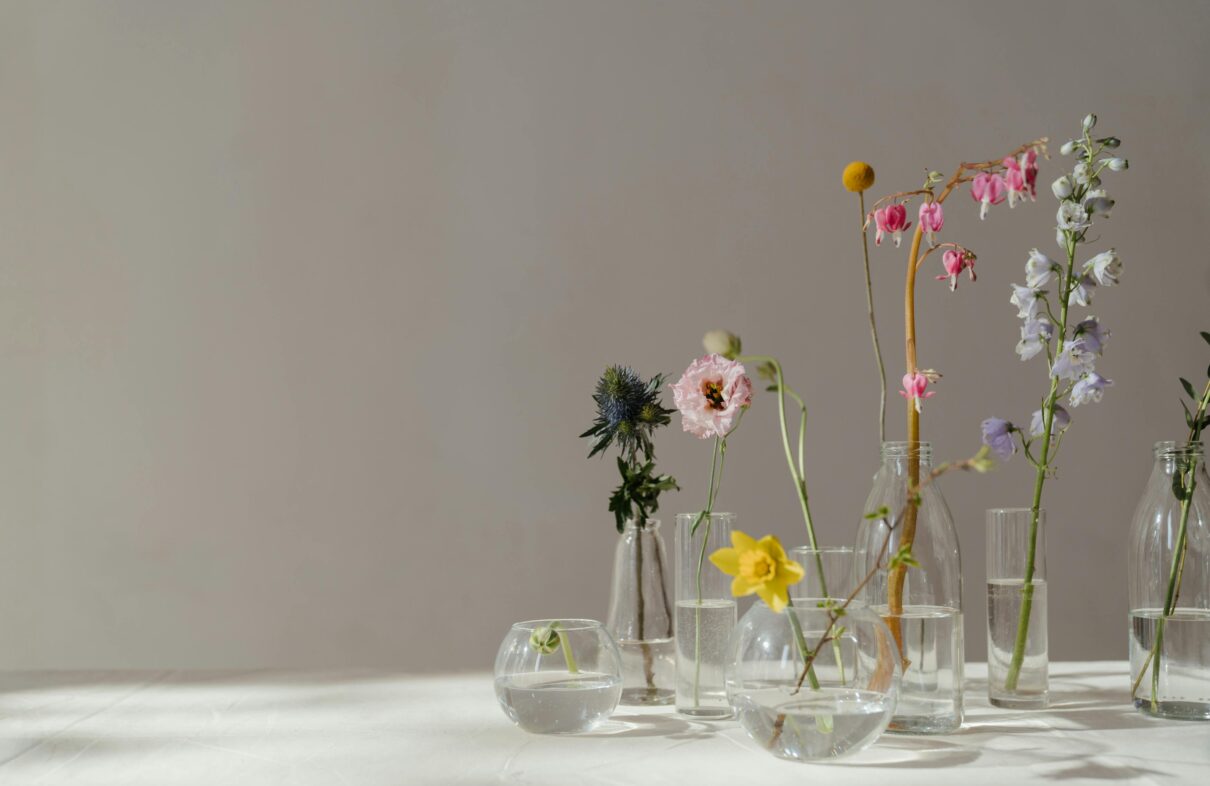 Elegant still life of beautiful flowers in glass vases with natural sunlight.