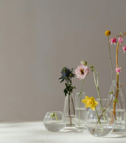 Elegant still life of beautiful flowers in glass vases with natural sunlight.