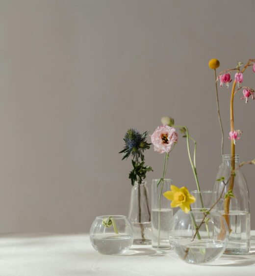 Elegant still life of beautiful flowers in glass vases with natural sunlight.